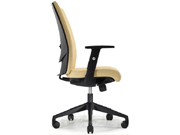 Leather Medium Back Chair CG-532