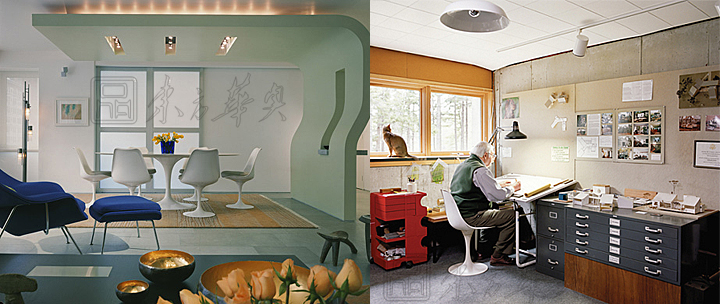 Modern Chair|Plastic Leisure Chair|Office Furniture|Leisure Chair|²£Á§¸ÖÒΣ¬ÎÞ·öÊÖÓô½ðÏãÒΣ¬²ÍÒΣ¬ÐÝÏÐÒÎ